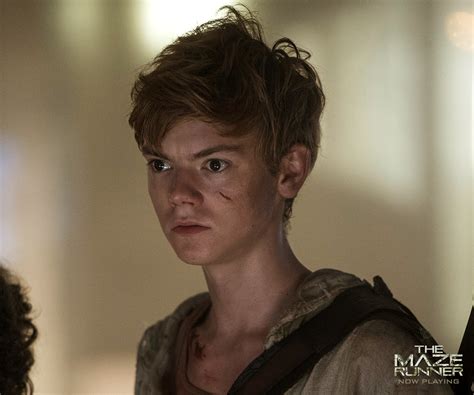 Newt - The Maze Runner Photo (37618008) - Fanpop