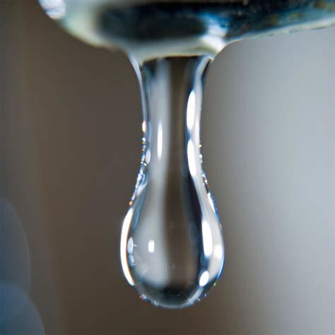 Drip | Flickr - Photo Sharing!