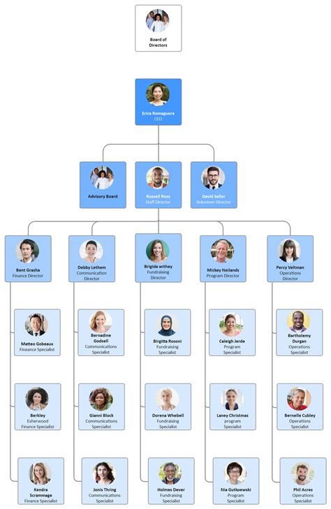 Hierarchy Organizational Chart Complete Guide | EdrawMax