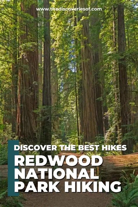 16 Best Hikes in Redwood National Park — The Discoveries Of