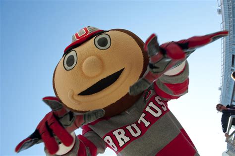 Ohio State Graduate Remembers Naming Mascot Brutus Buckeye Who Turns 50 ...