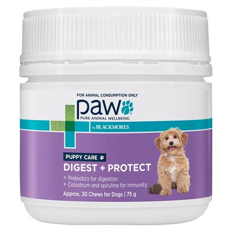 Dog Digestive Aid | PetPost Australia