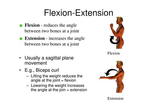 Flexion And Extension