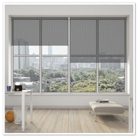 Linear Black Roller Blind | White roller blinds, Black roller blinds ...