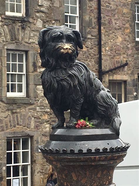 Greyfriars Bobby | Greyfriars bobby, Edinburgh, Skye terrier