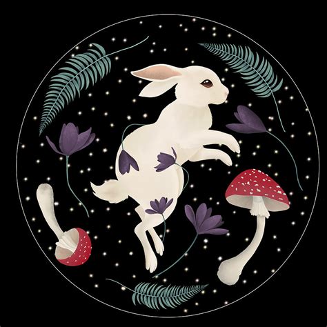 Magic rabbit Digital Art by Adrianna Illustrations