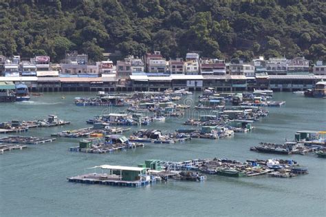 Sok Kwu Wan Village on Lamma Island is Filled with Fish Farming Rafts ...