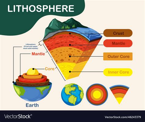 Diagram showing layers of the earth lithosphere Vector Image