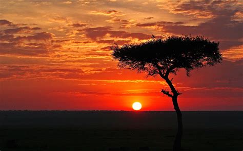 African Landscape Sunset Background Wallpaper I HD Images