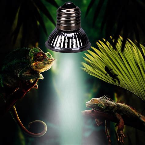 New Uv LED Lamp Reptile Tortoise Heating Lamp Full Spectrum Sunlamps ...