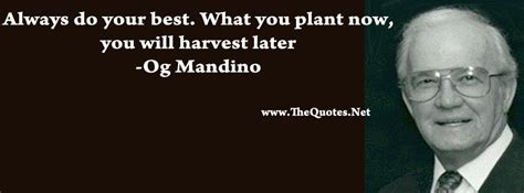 Facebook Cover Image - Og Mandino Quotes - TheQuotes.Net