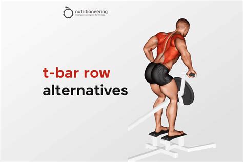 15 Top T-Bar Row Alternative Exercises (With Videos)