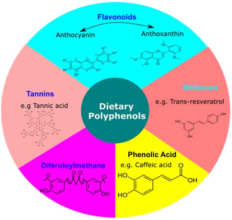 Antioxidants | Free Full-Text | Dietary Polyphenols as Therapeutic ...