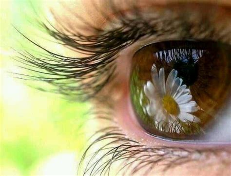 Eye Reflection Photography