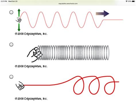 Transverse Wave Examples