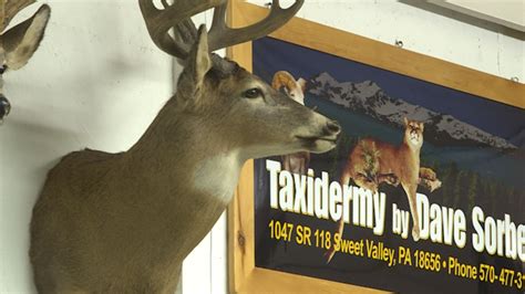 PA Hunting Licenses for 2019-20 season on sale next week