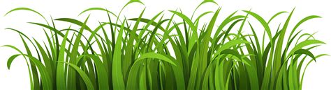 Download Cartoon Grass Transparent Background PNG Image with No ...