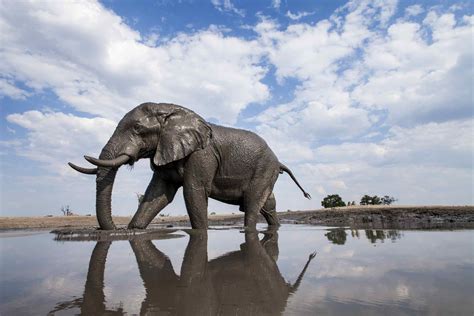 10 of the Best Places to Visit in Botswana