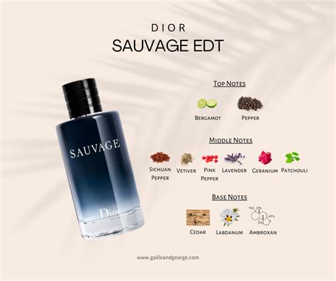 Sauvage (Men) – Gaille & George