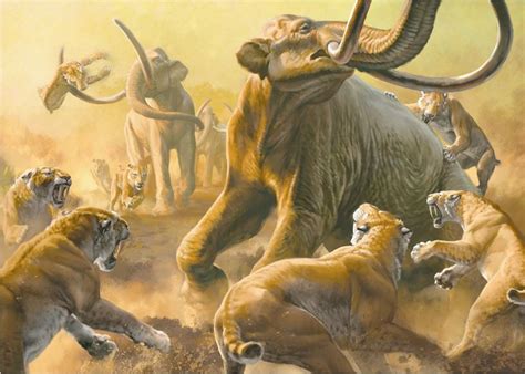 Colombian Mammoths battling a pride of Smilodon—sabertooth cats. The ...