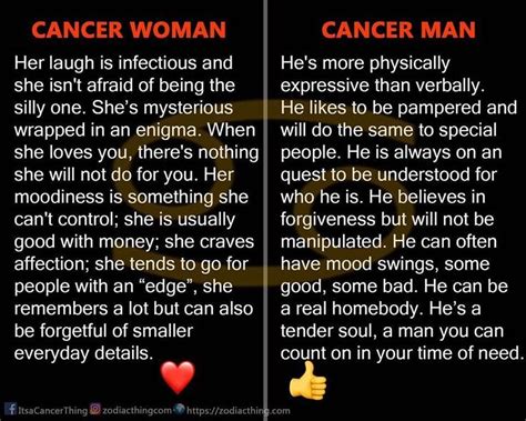 ♋ Kreeftvrouw & ♋ Kreeftman | Cancer zodiac facts, Cancer quotes zodiac ...