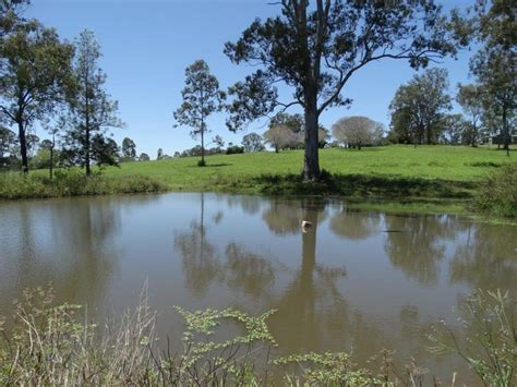 19 Claytons Road, Lowmead, Qld 4676 - Lifestyle for Sale - realestate ...