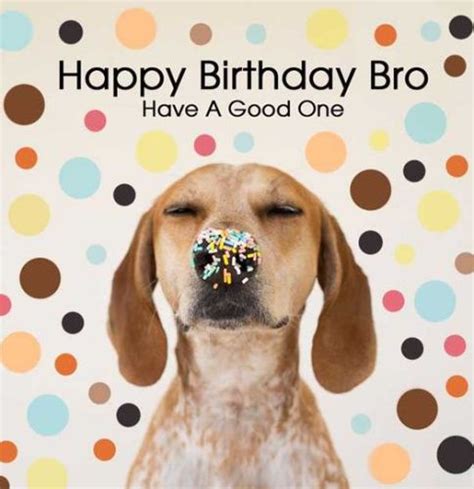 Happy Birthday Brother Images Funny - Birthday Messages