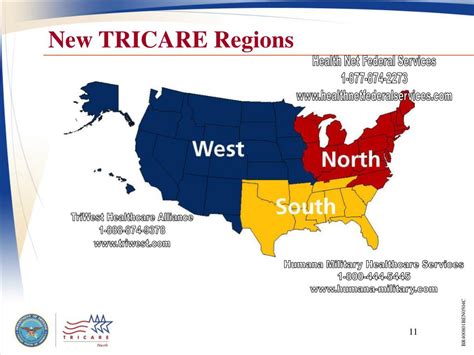 Tricare East Fee Schedule 2024 - Amara Bethena