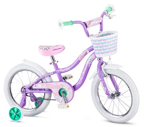 Top 10 Best Girls' Bikes 2017 - Top Value Reviews