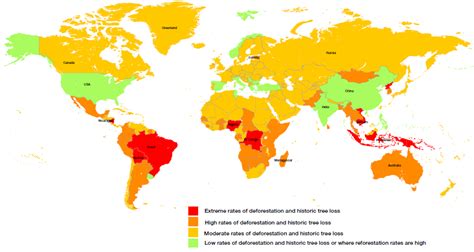 Causes of Deforestation