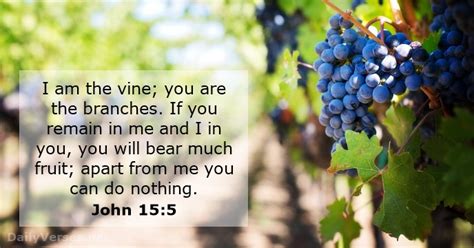 Verse of the Day - John 15:5 KJV - Highland Park Baptist Church ...