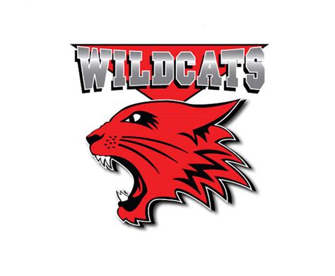 High School Musical 4 Wants You to be a Wildcat! – TV Insider