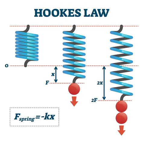 What is Hooke's Law?