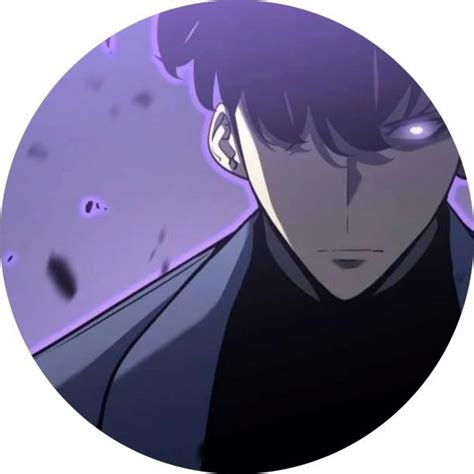 Solo Leveling PFP Collection(Anime Edition)