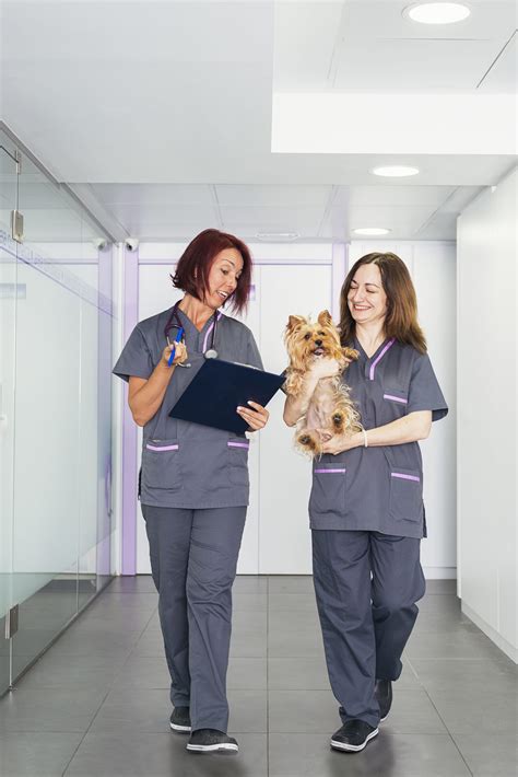 The rules on uniforms - Veterinary Practice