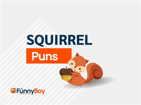 137+ Squirrel Puns That Will Leave You Wonder