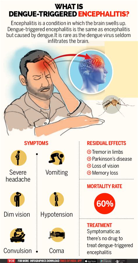 Infographic: Danger lurks with Dengue-encephalitis - Times of India