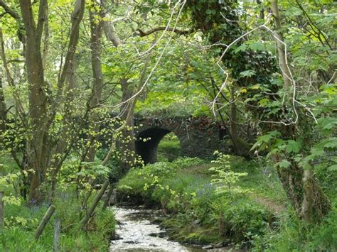 The Fern and Mossery: Moss Monday: Fairy Bridge at the Isle of Man