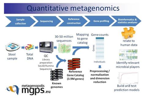 Big Data Capacity and Performance Supports Genome Analytics - insideBIGDATA