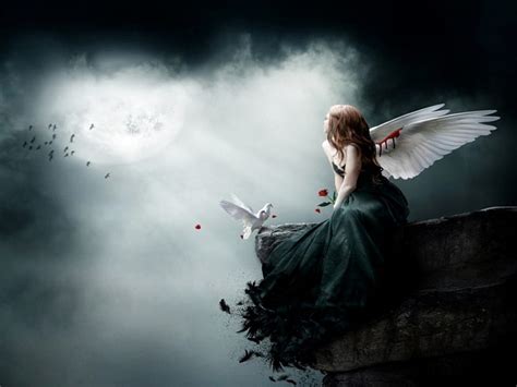 1080P free download | ANGEL WITH A BROKEN WING, DRESS, DOVE, FEMALE ...