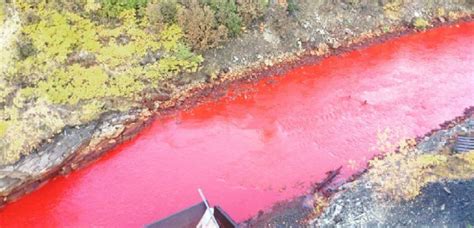 River Turns Blood Red in Russia