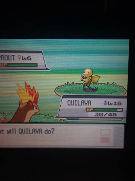 [Gen4] Second member of my badge quest shows up after 17 hours of ...