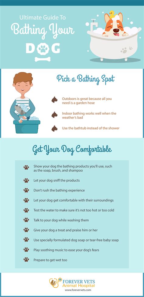 Ultimate Guide to Bathing Your Dog | Forever Vets