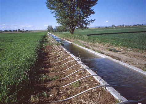 Irrigation for Dummies : Pictorial View - Types of Irrigation Systems