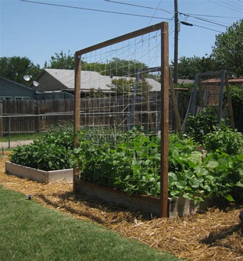 DIY Raised Bed Trellis - Fine Gardening