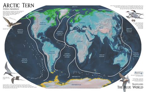 World Maps - NORTH2SOUTH Cartography&GIS