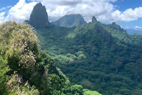 Hiking in Moorea: Most Beautiful Panoramas