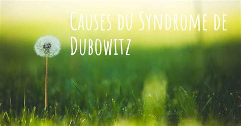 Quelles sont les causes du Syndrome de Dubowitz?