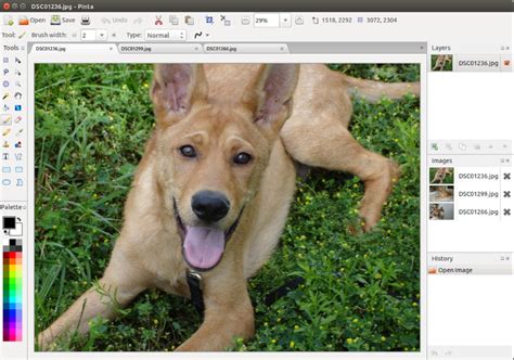 Microsoft Paint Alternatives - Free Similar Software | Skylum Blog