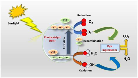 Molecules | Free Full-Text | Photocatalytic Degradation of Food and ...